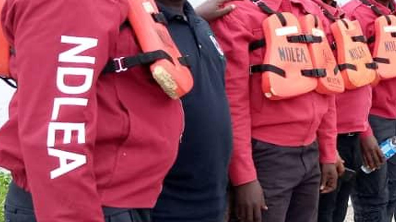 NDLEA intercepts 2.4 million Tramadol pills in Gombe