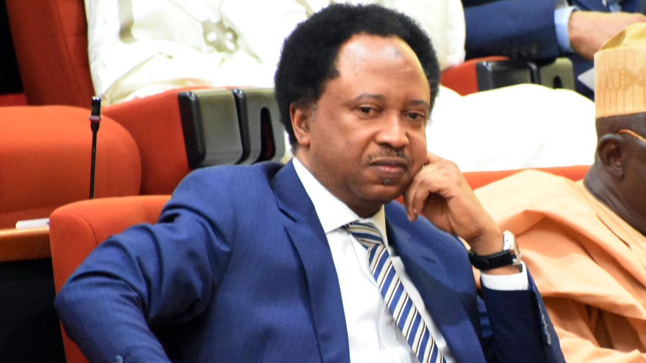 Shehu Sani To Nigerian Govt: Heavily Fine Citizens Who Obtain PVCs But Fail To Vote In Elections